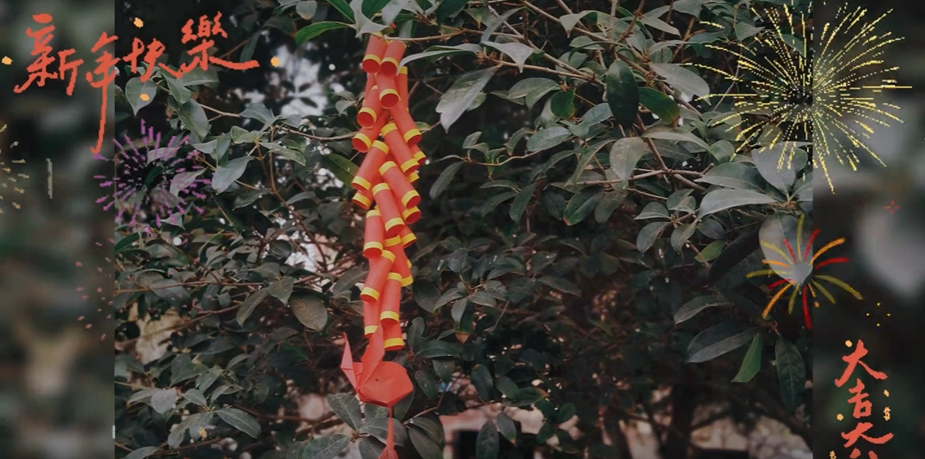 “玉兔揽春光 巧手迎新年”主题线上微课堂