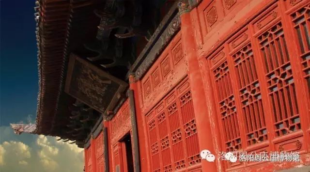 1677209045193671.jpg 24.jpg