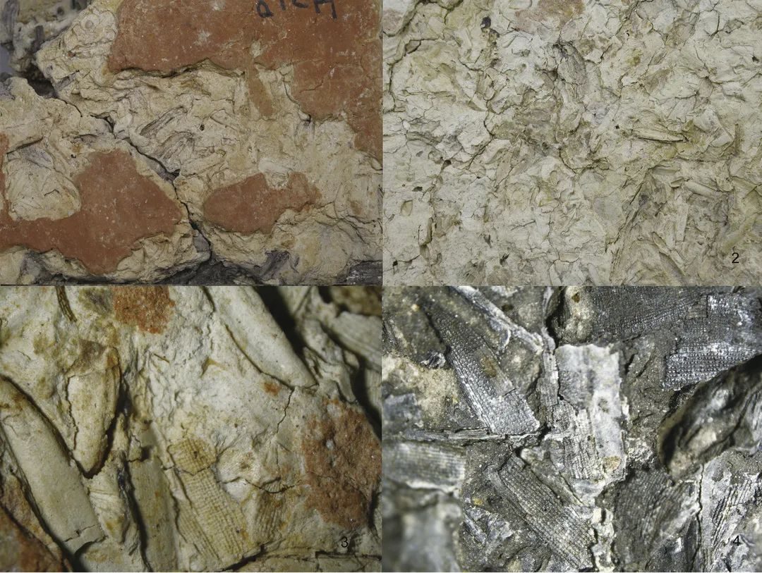 1692494712938861.png 1692494712938861.png