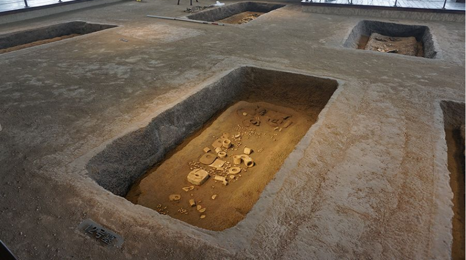 1692495344153780.png 1692495344153780.png