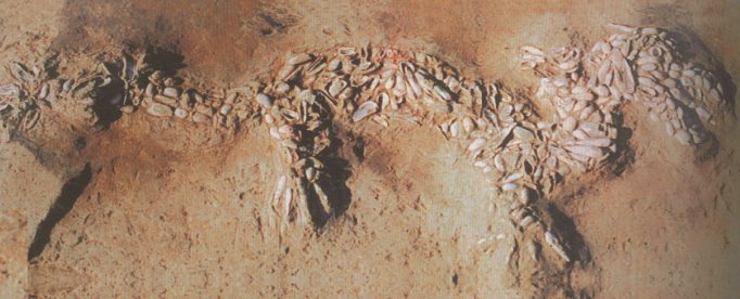 1709105187680974.jpg 1709105187680974.jpg